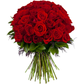51 red roses | Flower Delivery Kazakhstan