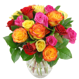 25 colorful roses
