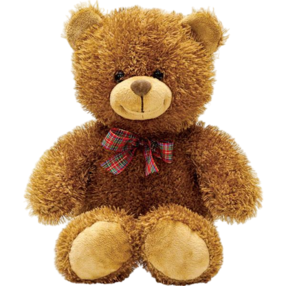 Teddy bear